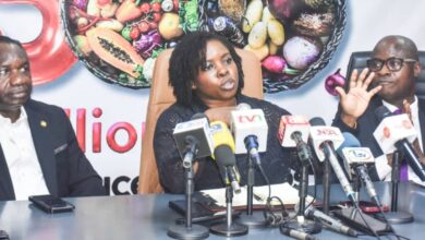 Lagos to launch ₦500bn ‘Produce for Lagos’ scheme to tackle food insecurity 12 IMG 20250721 WA0023