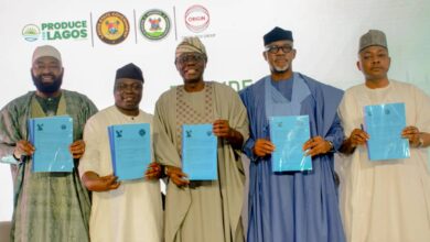 We are working to ensure food security - Abiodun 11 IMG 20250723 WA0026