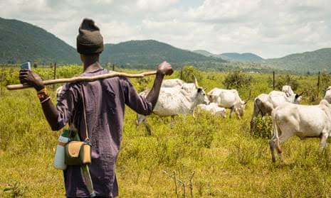 Oyo govt arrests herder over suspected farmland invasion in Iseyin 1 IMG 20250727 WA0016