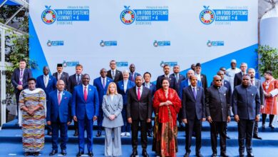 Nigeria pushes tech-driven agriculture as Africa rallies for global food security at UN summit 3 IMG 20250728 WA0026
