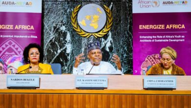 Nigeria unveils 10-year youth-led agricultural transformation plan at UN Food Summit 9 IMG 20250729 WA0028