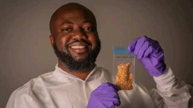 Egusi from Oyo becomes first Nigerian agricultural export to space 15 IMG 20250730 WA0074