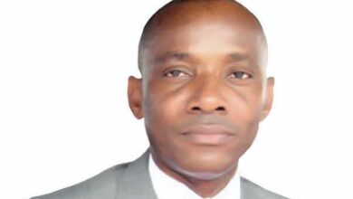 Response to Sam Amadi: The high cost of cheap ethnic rhetoric, by Bode Opeseitan 3 IMG 20250731 WA0002