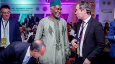 Nigeria-Egypt trade hits $315m as Tuggar seeks balanced partnership 12 Minister of Foreign Affairs Yusuf Tuggar 768x498 1