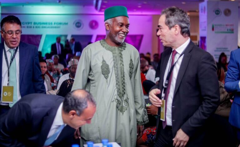 Minister of Foreign Affairs Yusuf Tuggar 768x498 1