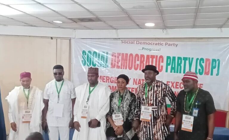 SDP crisis deepens as NEC dissolves NWC 1 SDP 768x576 1