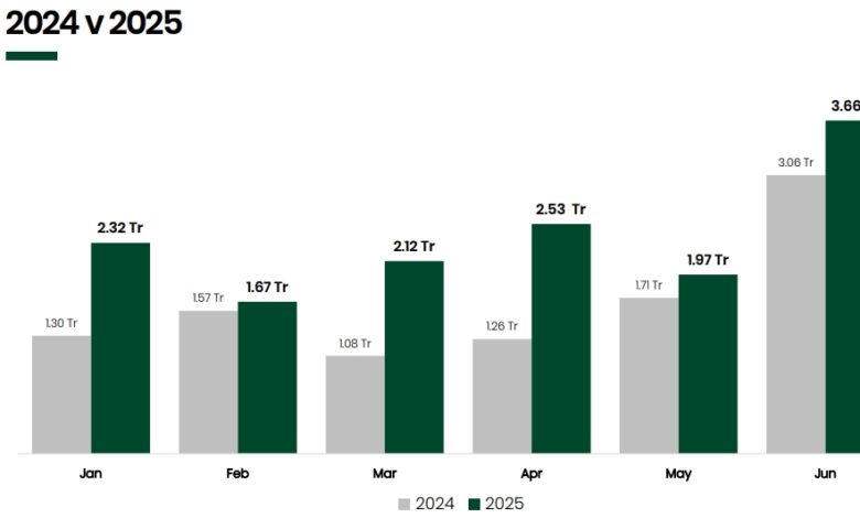 FG grows oil, non-oil tax revenue by 43% to N14.27trn in H1 2025 3 Screenshot 23 7 2025 82121