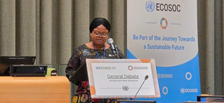 SDGs: Nigeria restates commitment to steadfast implementation of 2030 agenda 1 e8fb78cb fe68 4a9c bf4c 46e4692b2d13 768x355 1
