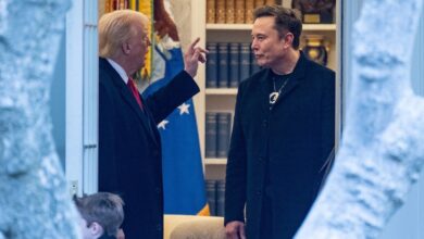Trump says he'll consider deporting Elon Musk 6 elon musk 3 gty gmh 250630 1751316220924 hpMain