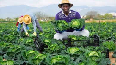 Finance group launches N5bn agricultural, financial hub in Kano 4 images 2025 07 08T084533.805