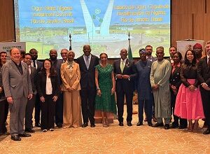 FG advances economic diplomacy efforts in Brazil 11 ogun