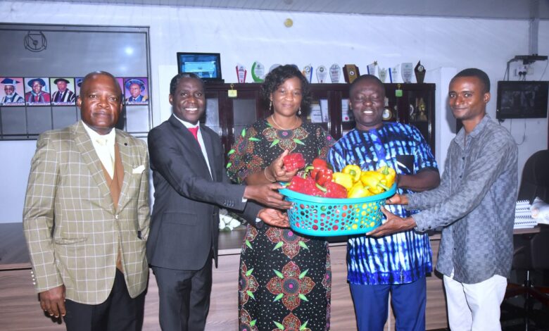 FUTA increases bell pepper production, targets exportation 5 FB IMG 1754477829538