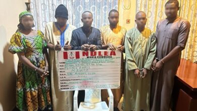 NDLEA nabs drug syndicate over arrest of 3 Nigerians in Saudi Arabia 11 IMG 20250826 WA0029