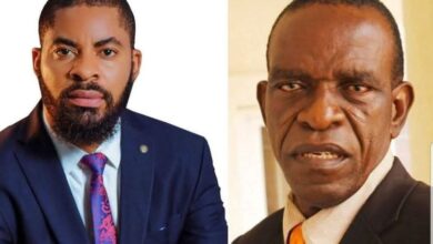 Why Deji Adeyanju's fallacy on Peter Obi cannot stand, by Ike Abonyi 9 IMG 20250830 WA0010