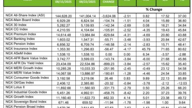 Investors lose N2.29bn in one week over profit-taking 9 Screenshot 24 8 2025 19059 mail.google.com