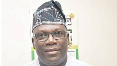 Dateline 2027: Whither Peter Obi – stranded or orphaned?, by Seye Oladejo 7 images 106 1