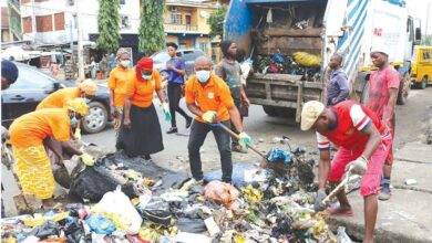 A legal-driven push for environmental sanity, by Babajide Fadoju 9 images 2025 08 27T141317.226