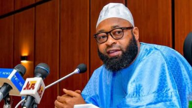 Niger secures $100m livestock export deal with Saudi Arabia 11 images 96 1