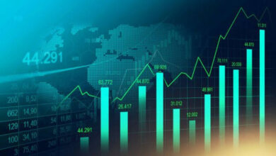 Stockbrokers urge public-private partnership to achieve $1 trillion economy target 10 images 97