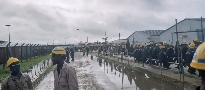 Workers' tax protest halts $10bn NLNG Train 7 Project in Rivers 1 1000646970