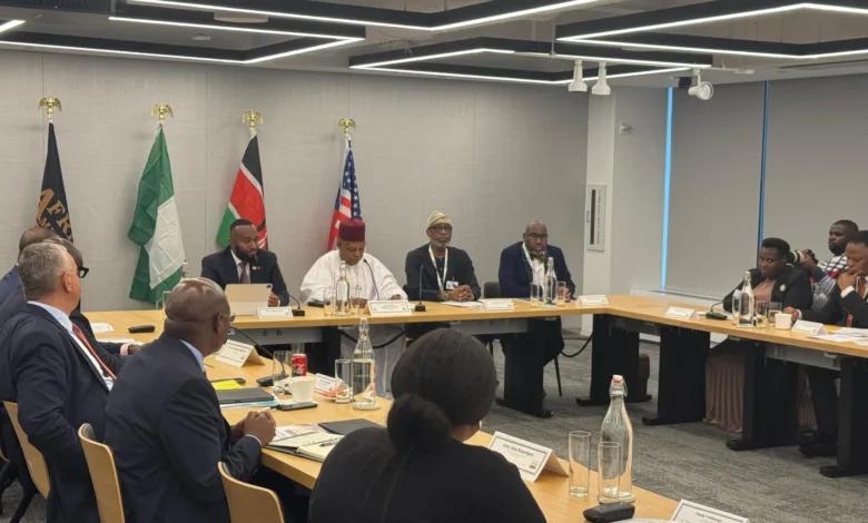 UNGA: Shettima, Dele Alake at Africa Minerals Development Roundtable (PHOTOS) 5 20250922 230735