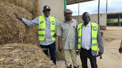 Maiha visits Ivorian dairy farm, calls for regional collaboration on milk production 10 IMG 20250901 WA0028