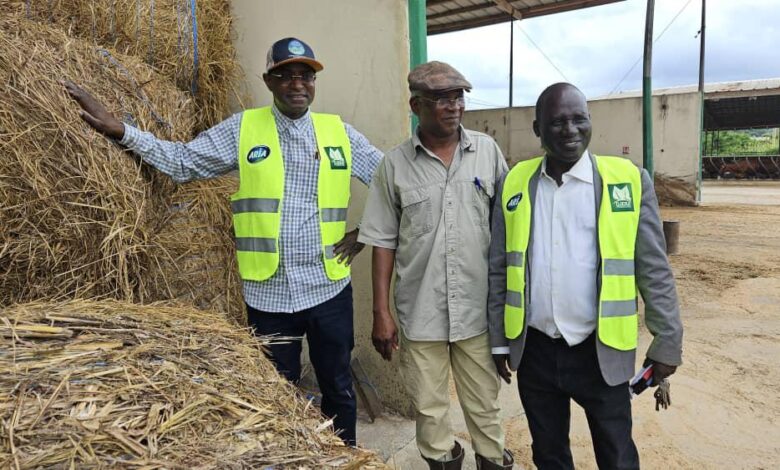 Maiha visits Ivorian dairy farm, calls for regional collaboration on milk production 5 IMG 20250901 WA0028