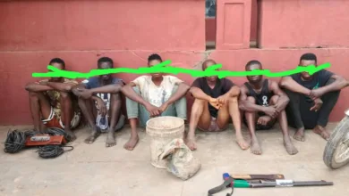 Serial wire thief arrested in Osun after selling ₦350k worth for ₦10k 7 IMG 20250923 WA0007