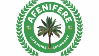 State police, economic reforms urgent for stability, says Afenifere 1 IMG 20250923 WA0066