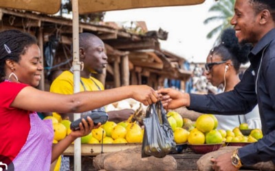 Making a case for Nigeria’s food stamp policy: Feeding dignity, fueling growth, by Olabode Opeseitan 1