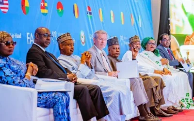 FG unveils fresh incentives to improve agricultural investment 3