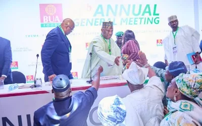 Nigeria’s economic engine is revving while critics are still using old lenses, by Olabode Opeseitan 1