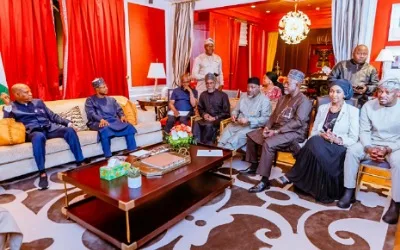 UNGA 2025: Shettima showcases $200bn energy transition opportunity 3