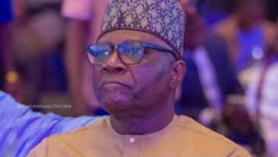 Evidence against economic alarmism and manufactured outrage - In defence of Bayo Onanuga — by Tope Fasua 7 Screenshot 20250909 202049