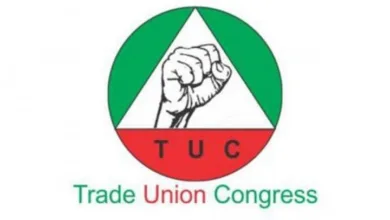 Dangote Refinery: TUC places members on nationwide strike alert 4 Trade Union Congress TUC e1561981856419