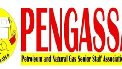 pengassan 1