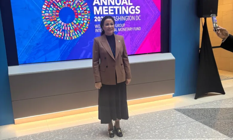 Nigeria drives climate resilience through innovative finance 3 1 5
