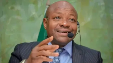 DG, DSS, Ajayi, and the power of attitude, by Martins Oloja 4 Adeola Oluwatosin Ajayi 768x437 1