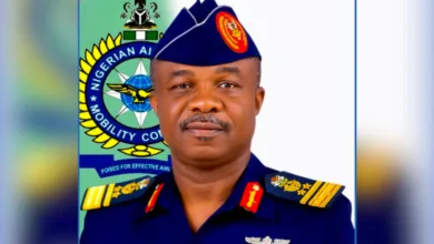 Chief of Air Staff Air Vice Marshal Sunday Aneke 2