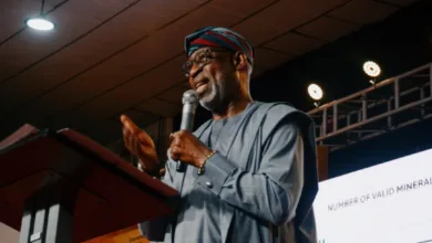 Southwest generated over half of Nigeria's N13bn mining revenue—Dele Alake 3 Dele Alake
