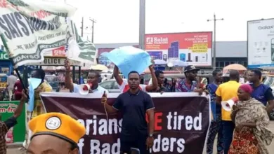 Students protest in Ibadan, back Dangote Refinery amid Labour dispute 11 IMG 20251007 WA0258