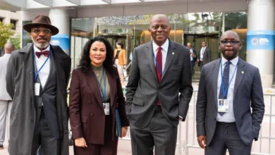 Influx of FDI into Nigeria: Tinubu’s crushing blow to demarketers, by Olabode Opeseitan 2 IMG 20251016 WA0032