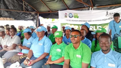 Ondo LIFE-ND beneficiaries showcase produce on World Food Day 4 IMG 20251018 WA0004