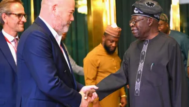 Tinubu pledges stronger economic ties with Denmark 2 IMG 20251029 WA0014