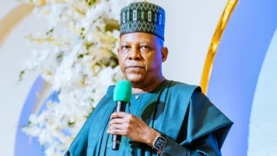Shettima unveils capital market master plan as SEC targets N750trn by 2036 7 IMG 20251030 WA0038