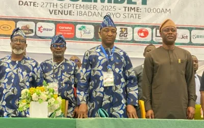 Makinde applauds NPFL board for improving Nigerian league quality 1