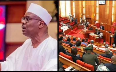 JUST IN: Ndume leads Senate motion to address Christian genocide claims 1
