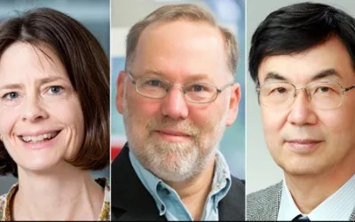 Nobel Prize in medicine goes to trio of scientists for discovering how the immune system is kept in check 1