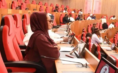 Memo to the Nigerian Senate and 107 senators, by Oby Ezekwesili 1