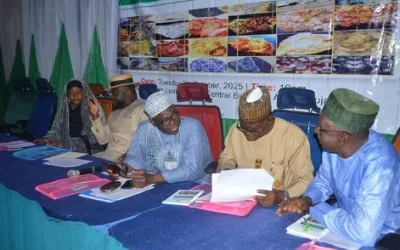 RMAFC, Solid Minerals Ministry launch new data template to boost revenue transparency 1